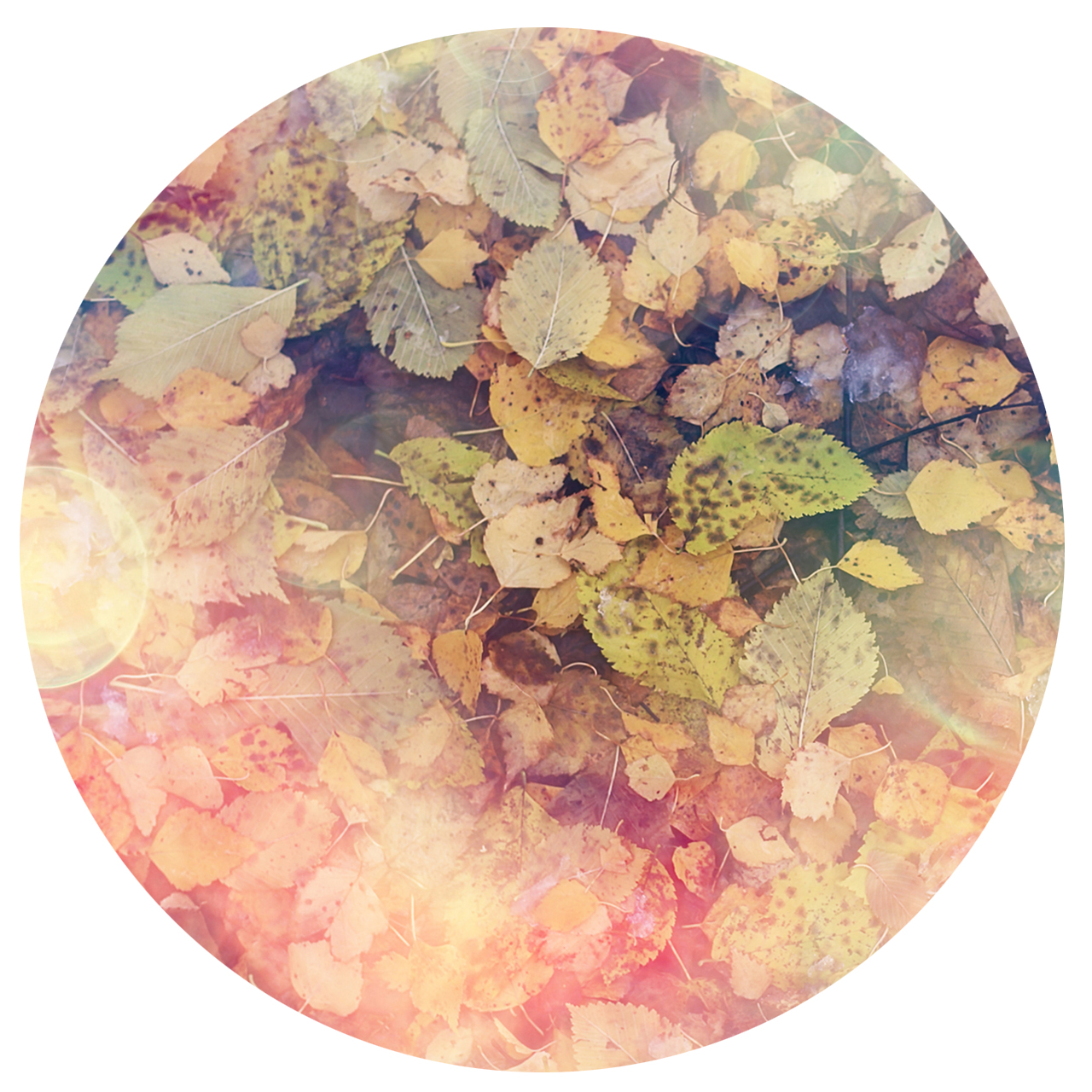 Wandbild Rund Titel: Herbstlaub bunt abstrakt Textur - Bild Wanddeko Alu Dibond oder Butlerfinish  