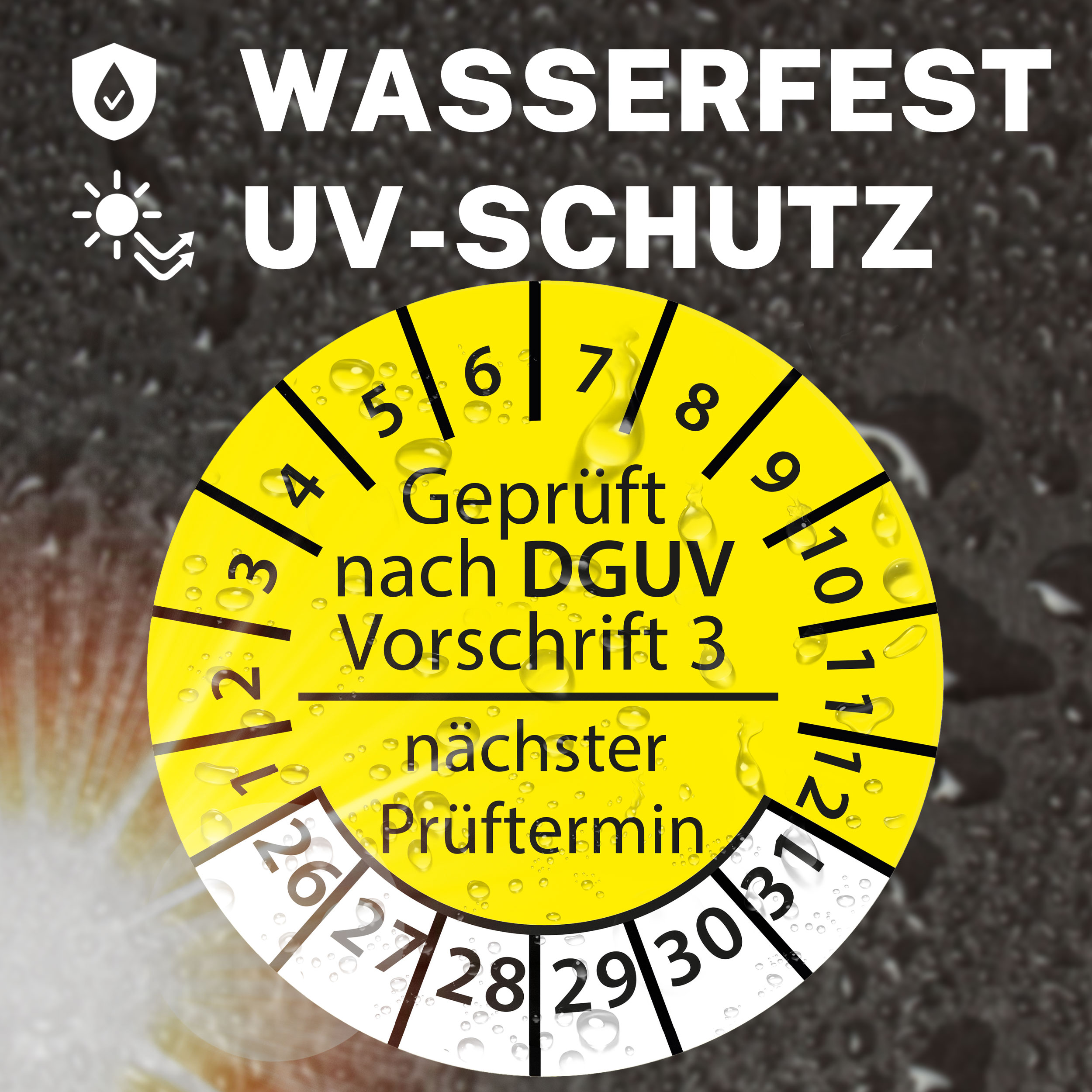 Prüfplakette DGUV V3 Nächster Prüftermin E-Check Elektro - 2026-2031 - Wasserfest/UV-Schutz - 30mm Plakette für Tritte Leitern Feuerlöscher Maschinen