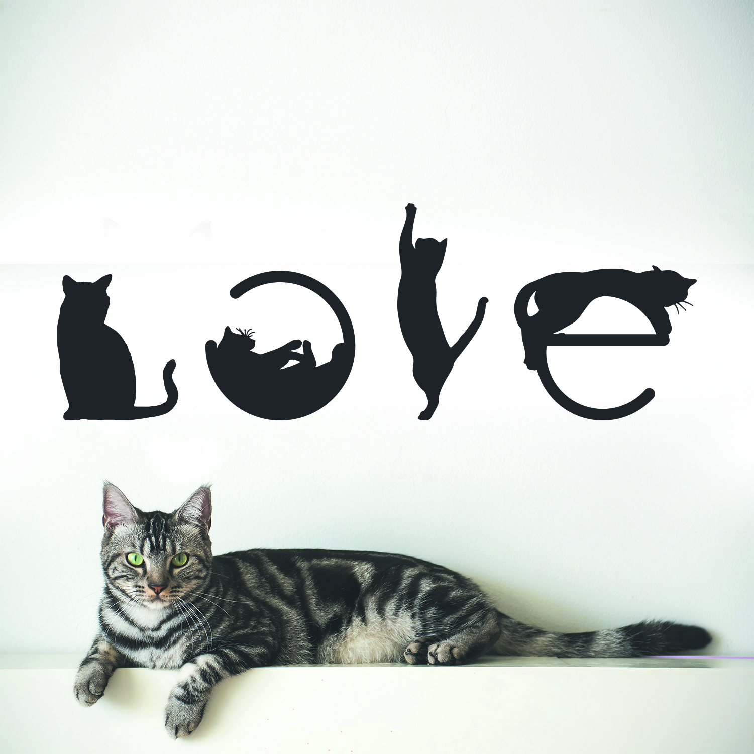 Wandtattoo Aufkleber CAT LOVE in Weiss selbstklebend Deko Wohnzimmer Schlafzimmer